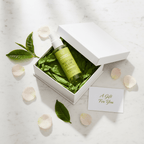 ✨ Matcha Glow Gesichtsöl – Regenerierend & Schützend - MANSURIS